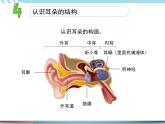 10 声音的传播 （课件+教案+记录单+视频）