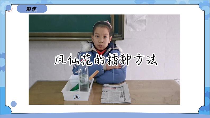 1.2《种植凤仙花》（课件+素材 ）-教科版（2017秋）  四年级下册科学03