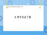 1.3种子长出了根（课件+素材 ）-教科版（2017秋）  四年级下册科学