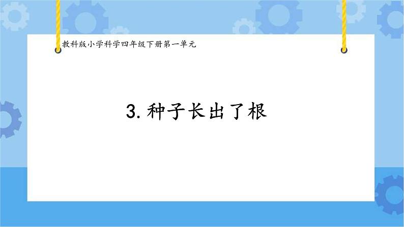 1.3种子长出了根（课件+素材 ）-教科版（2017秋）  四年级下册科学01