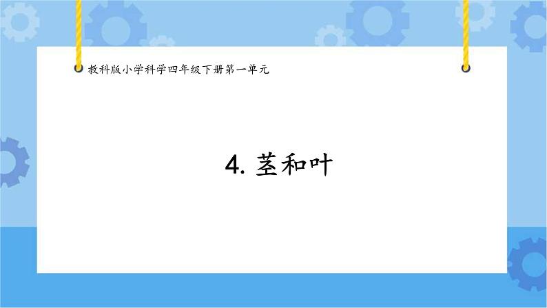 1.4茎和叶（课件+素材 ）-教科版（2017秋）  四年级下册科学01