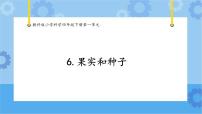 教科版 (2017)四年级下册6.果实和种子优质课课件ppt