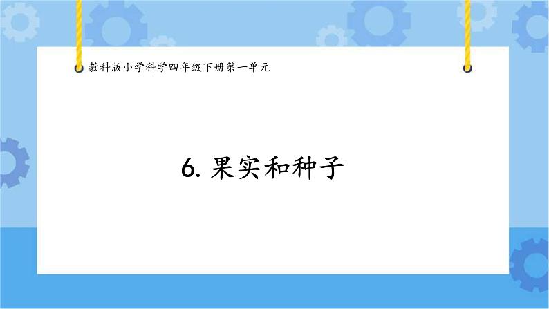 1.6果实和种子（课件）-教科版（2017秋）  四年级下册科学01
