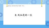 教科版 (2017)四年级下册8.凤仙花的一生试讲课ppt课件