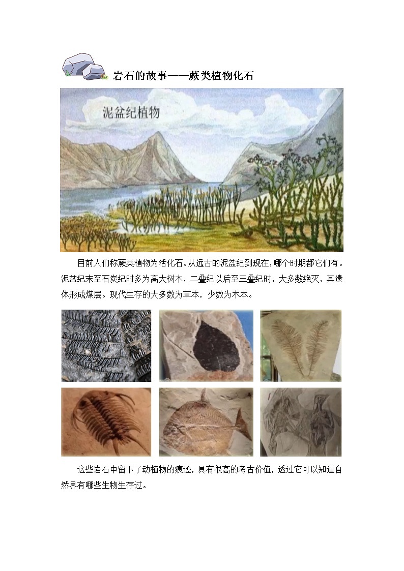 1.岩石与土壤的故事（图片文字资料）第2页