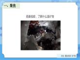 3.岩石的组成 (课件+探索记录表+素材)-教科版（2017秋）  四年级下册科学