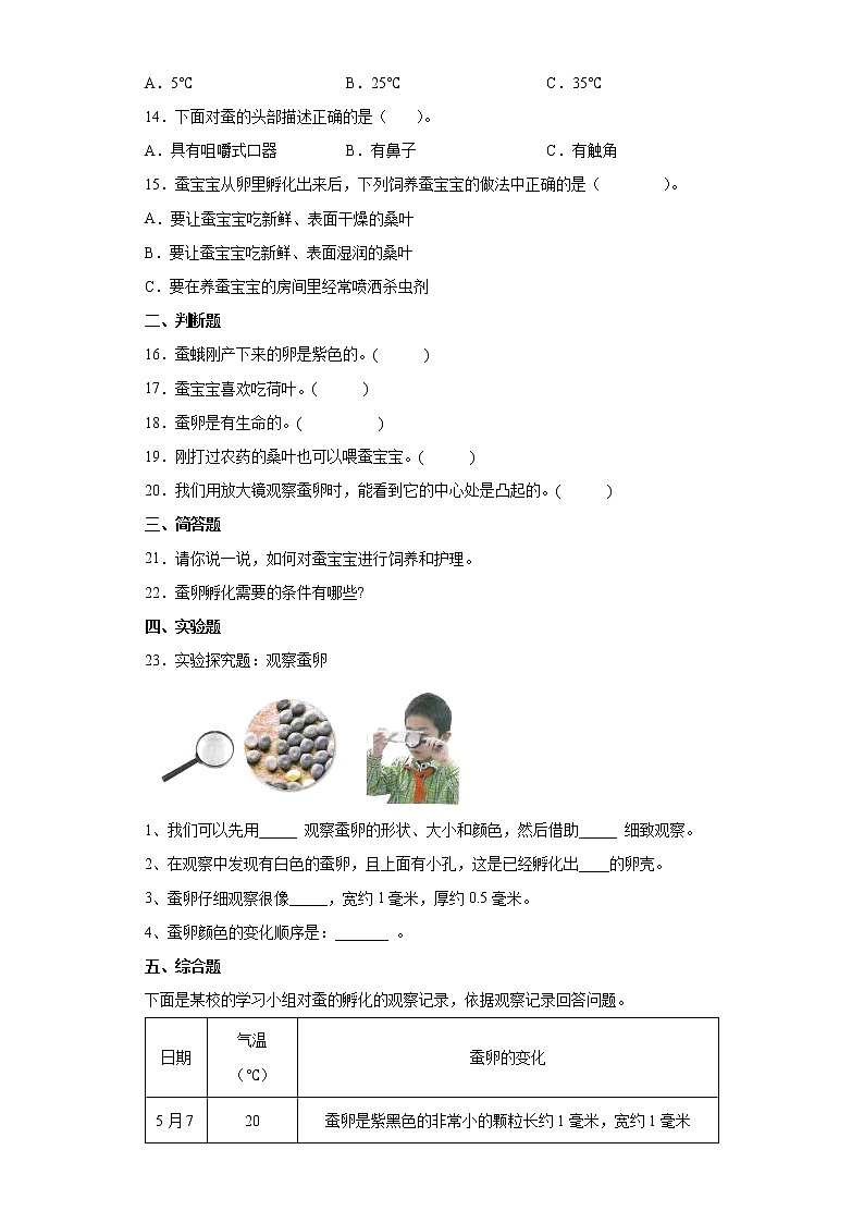教科版（2017秋）科学 三年级下册 2.1迎接蚕宝宝的到来 同步练习（含答案）02