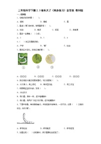 科学三年级下册3.蚕长大了精品当堂达标检测题