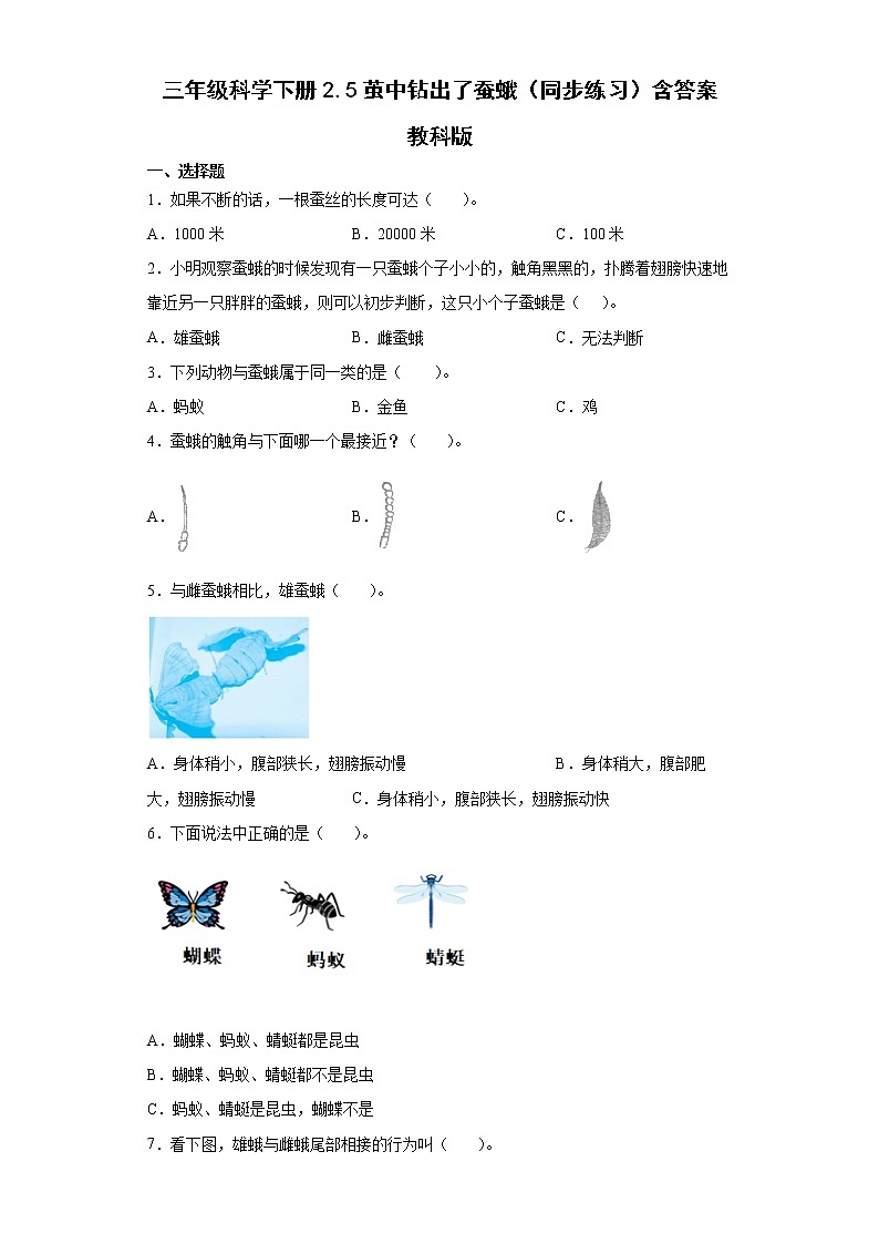 教科版（2017秋）科学 三年级下册 2.5茧中钻出了蚕蛾 同步练习（word版 含答案）01