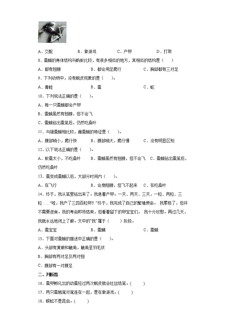 教科版（2017秋）科学 三年级下册 2.5茧中钻出了蚕蛾 同步练习（word版 含答案）02