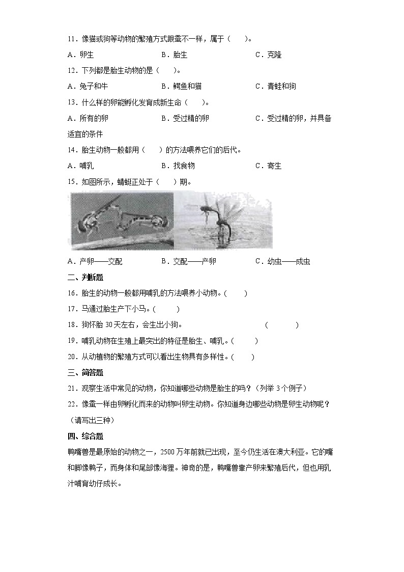教科版（2017秋）科学 三年级下册 2.7动物的繁殖 同步练习（word版 含答案）02