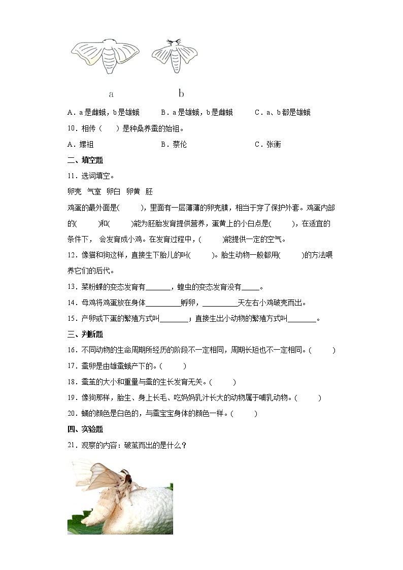 教科版三年级科学下册第二单元 动物的一生 单元综合训练（含答案）02