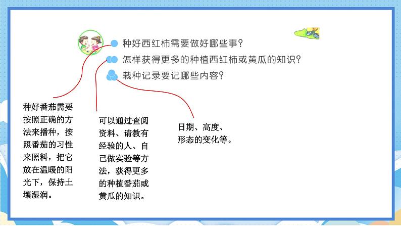 苏教版三年级下册科学 1.1 种子发芽了（课件）06