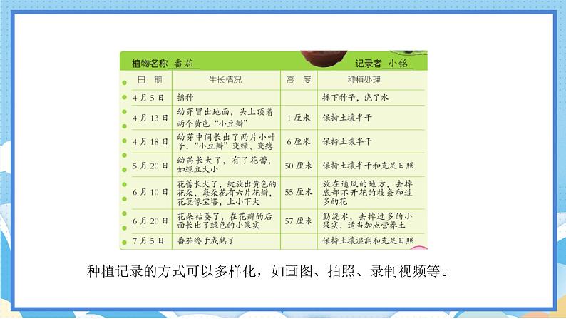 苏教版三年级下册科学 1.4 植物结果了（课件）第3页