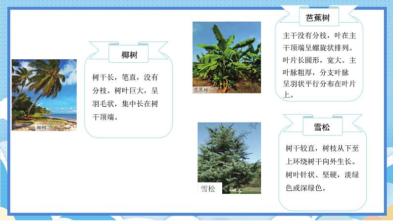 苏教版三年级下册科学 2.5  不同环境里的植物（课件）04