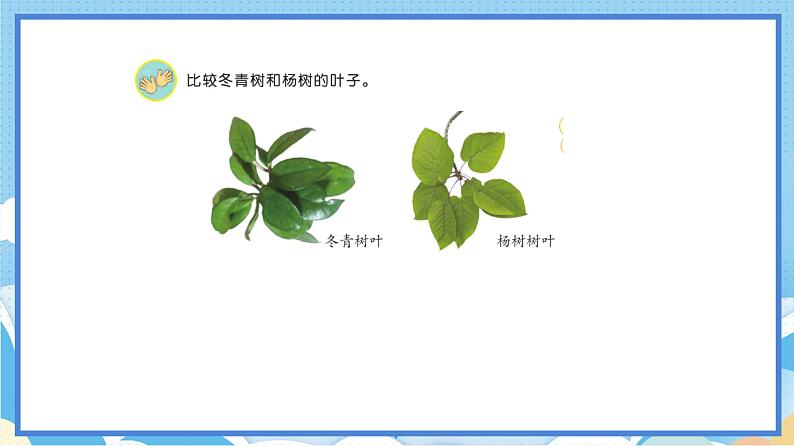 苏教版三年级下册科学 2.5  不同环境里的植物（课件）08