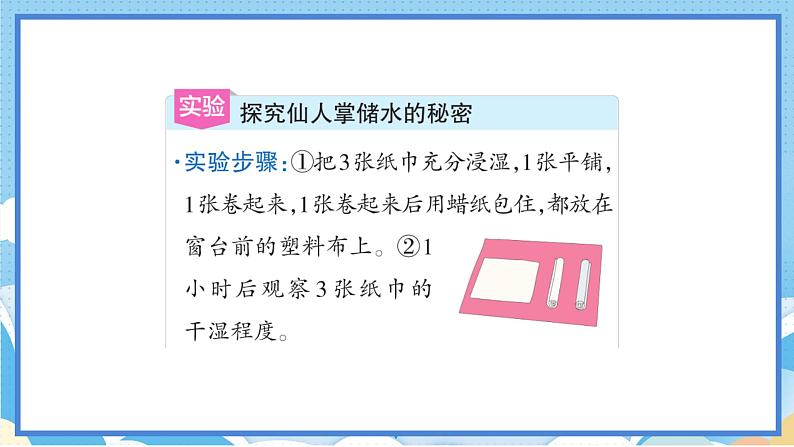 苏教版三年级下册科学 2.6  沙漠中的植物（课件）第7页
