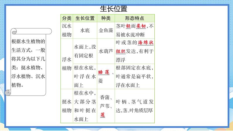 苏教版三年级下册科学 2.7  水里的植物（课件）05