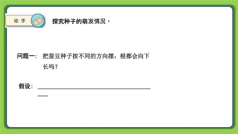 4.12 用种子繁殖（课件）四年级下册科学 苏教版06