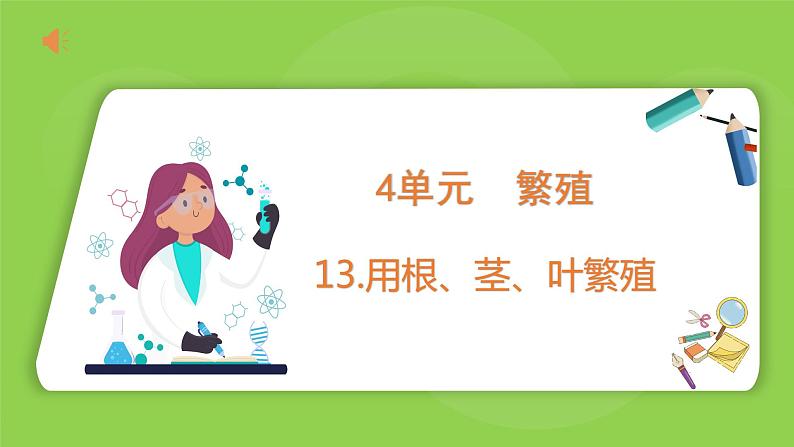 4.13 用根、茎、叶繁殖（课件）四年级下册科学 苏教版第1页