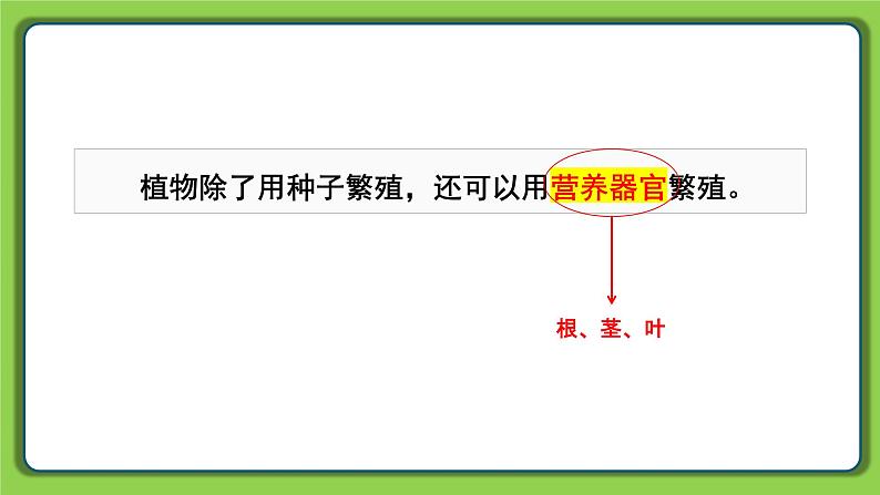 4.13 用根、茎、叶繁殖（课件）四年级下册科学 苏教版第2页