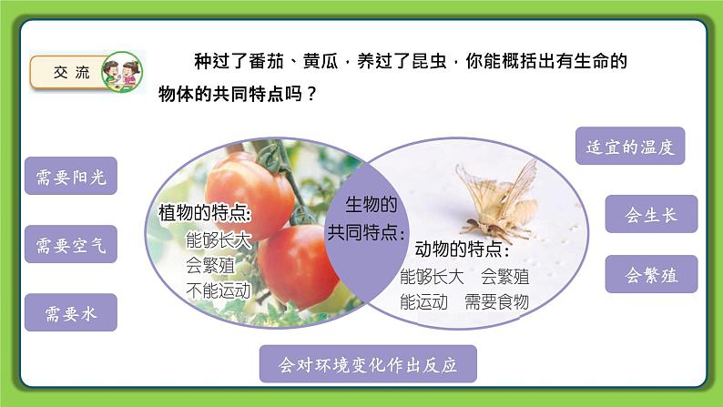 5.15 生物与非生物（课件）四年级下册科学 苏教版02