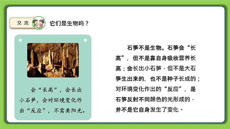 5.15 生物与非生物（课件）四年级下册科学 苏教版04