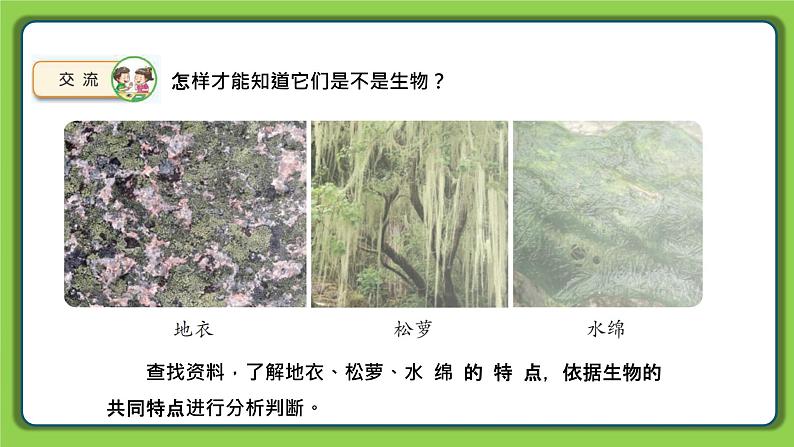 5.15 生物与非生物（课件）四年级下册科学 苏教版06