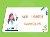 5.16 動(dòng)物的庇護(hù)所（課件）四年級(jí)下冊科學(xué) 蘇教版