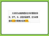 5.16 動(dòng)物的庇護(hù)所（課件）四年級(jí)下冊科學(xué) 蘇教版