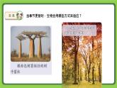 5.17 环境变化以后（课件）四年级下册科学 苏教版