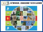 蘇教版六年級下冊科學 2.5  多樣的棲息地（課件)