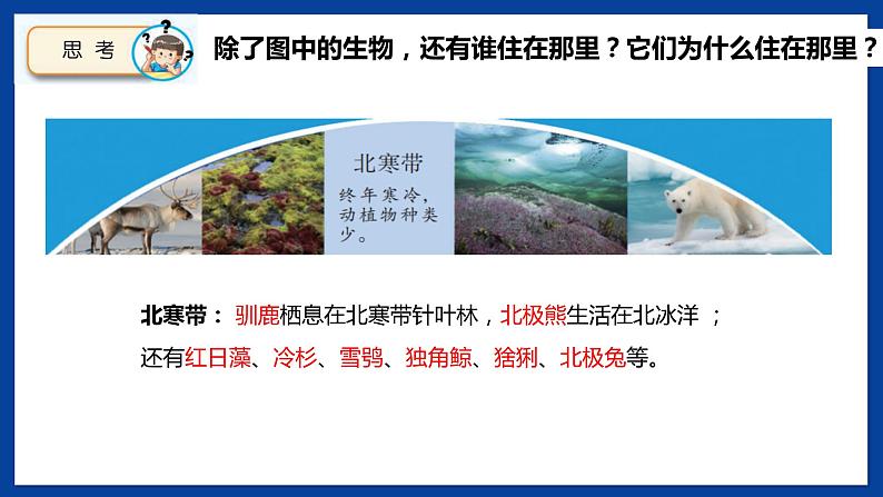 苏教版六年级下册科学 2.5  多样的栖息地（课件)03