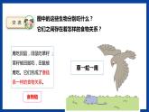 蘇教版六年級下冊科學(xué) 2.6  有趣的食物鏈（課件)