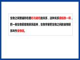 蘇教版六年級下冊科學(xué) 2.6  有趣的食物鏈（課件)