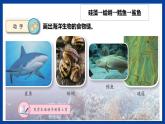 蘇教版六年級下冊科學(xué) 2.6  有趣的食物鏈（課件)