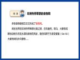 蘇教版六年級下冊科學(xué) 2.6  有趣的食物鏈（課件)
