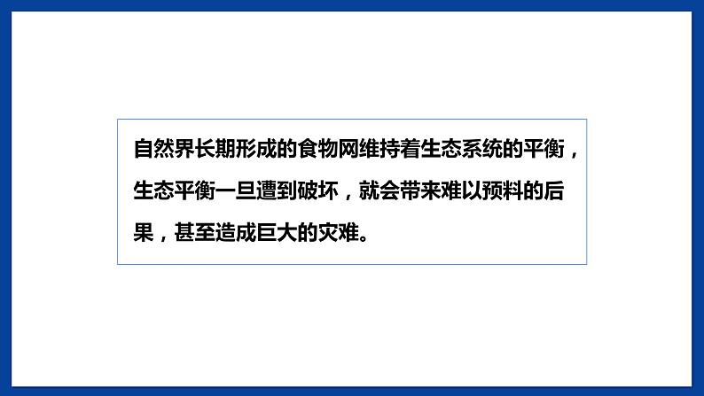 苏教版六年级下册科学 2.7  做个生态瓶（课件)06