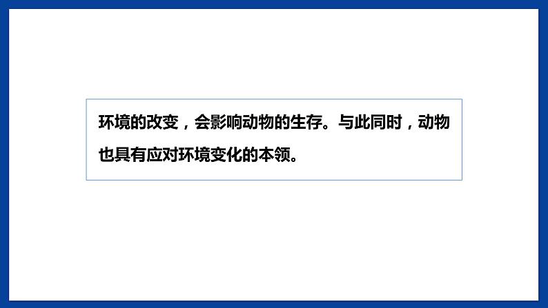 苏教版六年级下册科学 2.8  适应生存的本领（课件)02