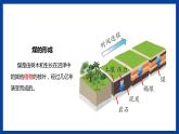 苏教版六年级下册科学 3.10  煤、石油和天然气（课件)