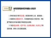 苏教版六年级下册科学 3.12  善用自然资源（课件)