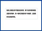 苏教版六年级下册科学 4.15  多样的生物（课件)