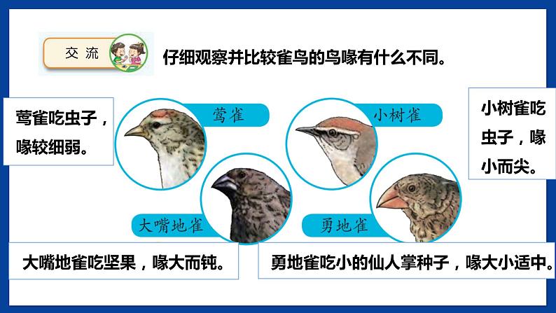 苏教版六年级下册科学 4.15  多样的生物（课件)03