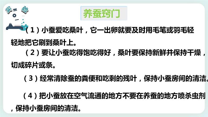 2.1迎接蚕宝宝的到来 课件第6页