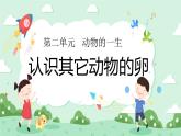 2.2认识其它动物的卵 课件+教案