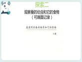 2.3蠶長大了 課件+教案