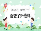 2.4蠶變了新模樣 課件+教案