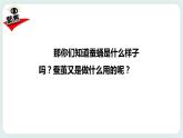 2.4蠶變了新模樣 課件+教案