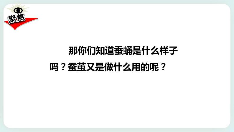 2.4蚕变了新模样 课件第3页