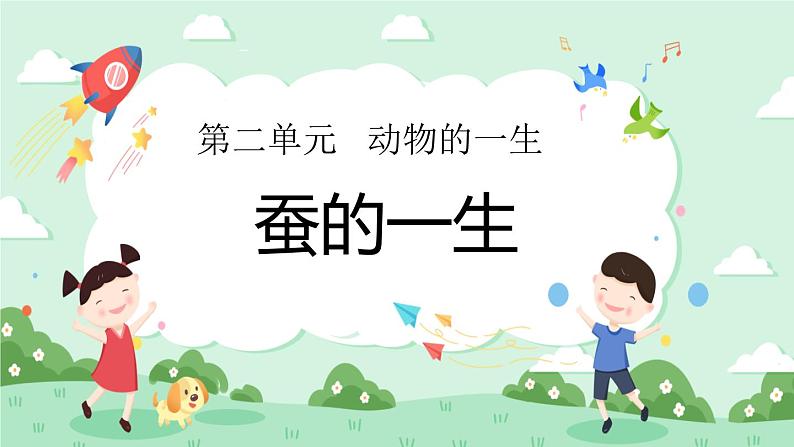 2.6蚕的一生 课件+教案01